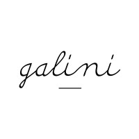 Galini Conseil logo - Similar company to Sofraco Alpes