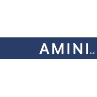 Amini LLC logo - Similar company to Stein Adler Dabah & Zelkowitz Llp
