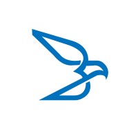 Blue Hawke logo - Similar company to Bluehawk Consulting (Now Tsg)