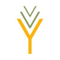 Yellolife logo - Similar company to Choice Foundation