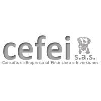 CEFEI - Consultoría Empresarial Financiera e Inversiones S.A.S. logo - Similar company to Nuube Consultoría Empresarial