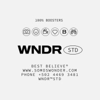 Wonder Studio logo - Similar company to Well Design Studio