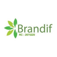 Brandif Imperial Konsult logo - Similar company to Deepcraft Consult