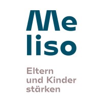 Meliso logo - Similar company to Root & Branch - Vocational Training Without Borders