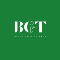 Black Girls In Tech Nigeria logo - Similar company to Stem Bridge