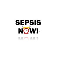 Sepsis NOW logo - Similar company to End Sepsis, The Legacy Of Rory Staunton