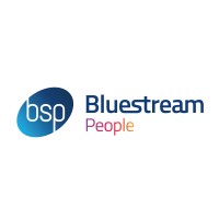 Bluestream People logo - Similar company to Hero Professionals