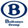 Boikanyo Group logo - Similar company to Imagin8 (Sa)