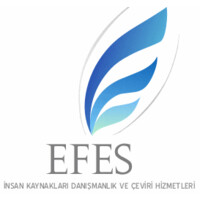 Efes İnsan Kaynakları ve Danışmanlık logo - Similar company to Pointer Danışmanlık