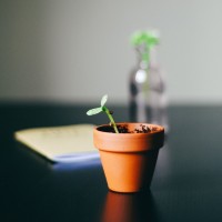 LC Consulting logo - Similar company to Lc-Consulting
