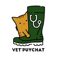 SELARL VET'PUYCHAT logo - Similar company to Alpha & Omega Architecture