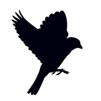Nuisance Wildlife Solutions