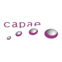 Capae Projectexperts Bv
