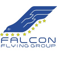 Falcon Flying Group logo - Similar company to Vr N3Xt