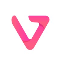 Video Vision logo - Similar company to The G Star Studio