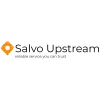 Salvo Upstream Engineering logo - Similar company to Solid Solutions Trading Est. (Sste)