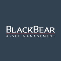 Black Bear Asset Management logo - Similar company to Ashley Development Corporation | Greystone Capital