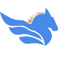Pegasus Academy logo - Similar company to Beyond100