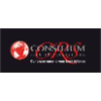 Consilium Risk Strategies