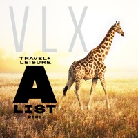 VLX Travel logo - Similar company to Sg Travel Advisors