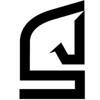 Strategica Partners logo - Similar company to Demandmaven, Inc