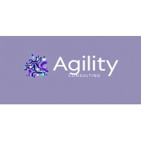 Agility Consulting logo - Similar company to Agility Consulting International