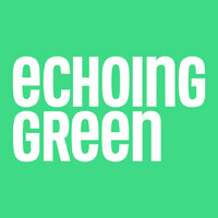 Echoing Green logo - Similar company to Catalyst Now