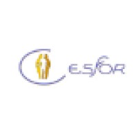Ce.S.F.Or. Centro Studi Formazione Orientamento logo - Similar company to Centro Italiano Wingwave® Formazione Essenziale Primaria - Alta Formazione Specialistica Per Coach