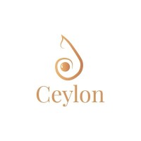 Ceylon Vision logo - Similar company to De-Coders Business Solutions Pvt Ltd