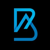 BAce Capital logo - Similar company to Cdm Capital