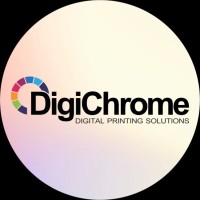 DigiChrome India logo - Similar company to Digicrome