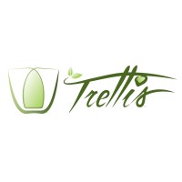 Trellis Transit Technologies, Inc. logo - Similar company to Crosswing Inc.