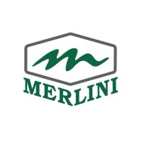 Merlini Engenharia logo - Similar company to Atsel Engenharia Ltda