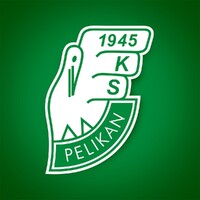 KS Pelikan Łowicz logo - Similar company to Pays De Gex Fc