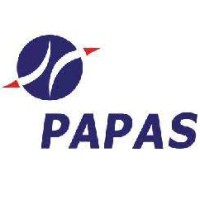 Pan Asia Pacific Aviation Services Limited logo - Similar company to Messier Group