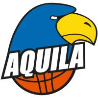 Basketbalvereniging Aquila logo - Similar company to Tech Groep
