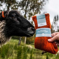 Helsingin Villasukkatehdas Oy logo - Similar company to Kauneve