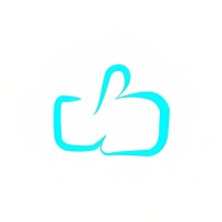 Net Cooky logo - Similar company to Rapisoft Solution Private Limited