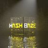 HashBaze logo - Similar company to Meliora Solution