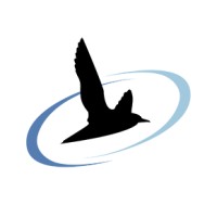 Black Bawks Data Science logo - Similar company to Whale And Vessel Safety Taskforce (Wavs)