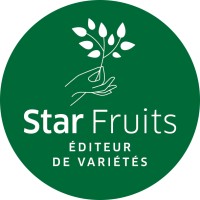 STAR FRUITS DIFFUSION logo - Similar company to Augusta | Entreprise Générale Du Bâtiment