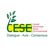 Conseil Economique Social Environnemental logo - Similar company to Smart Vision Congo