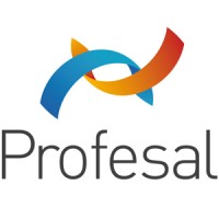 Profesal sp. z o.o. - Zarządzanie przez fakty logo - Similar company to Dynamotion