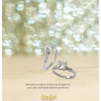 Havilah Designer Jewellers logo - Similar company to Brunel Studios Ltd
