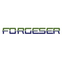 Forgeser Servicios logo - Similar company to Cefi Formacion