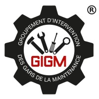 GIGM France logo - Similar company to Cosma Technology