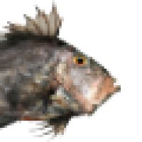 Just Add Water, Inc. logo - Similar company to Zurich Games Gmbh