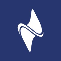 Esenboğa Elektrik logo - Similar company to Naturel Holding