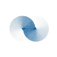 IT Alliance Tech logo - Similar company to Paksha