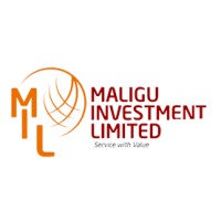 Maligu Investment Limited logo - Similar company to Raima